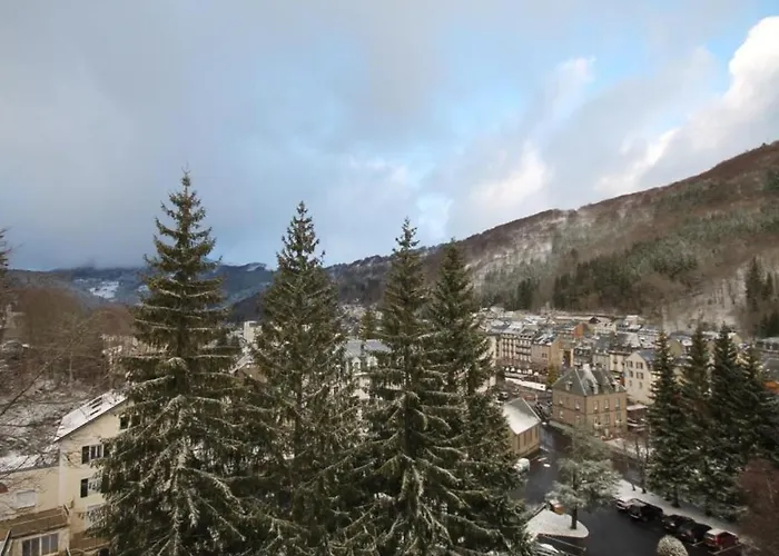 Bel T4 Au Mont-dore - Wifi Inclus - Fr-1-608-9 *